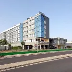 Exe Palmera Sevilla
